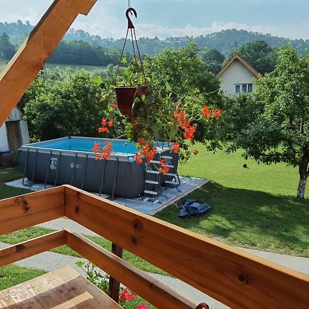 Stara Etno Kuca Radonjic Villa Guča Екстериор снимка