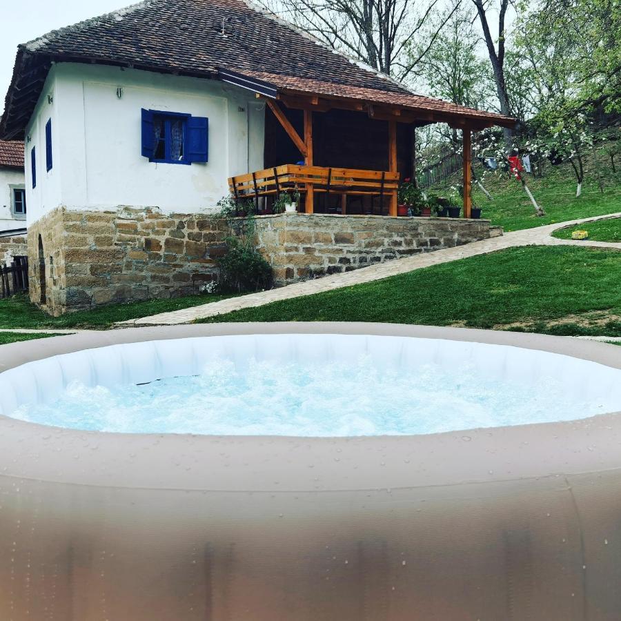 Stara Etno Kuca Radonjic Villa Guča Екстериор снимка