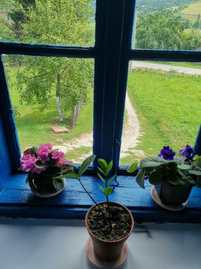 Stara Etno Kuca Radonjic Villa Guča Екстериор снимка
