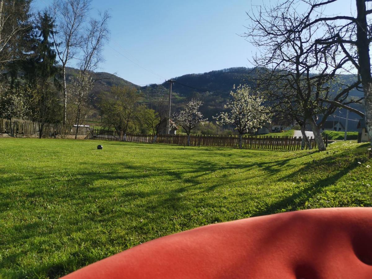 Stara Etno Kuca Radonjic Villa Guča Екстериор снимка